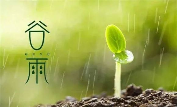 2020穀雨節氣早安溫馨祝福語句發朋友圈最新穀雨時候問候圖片