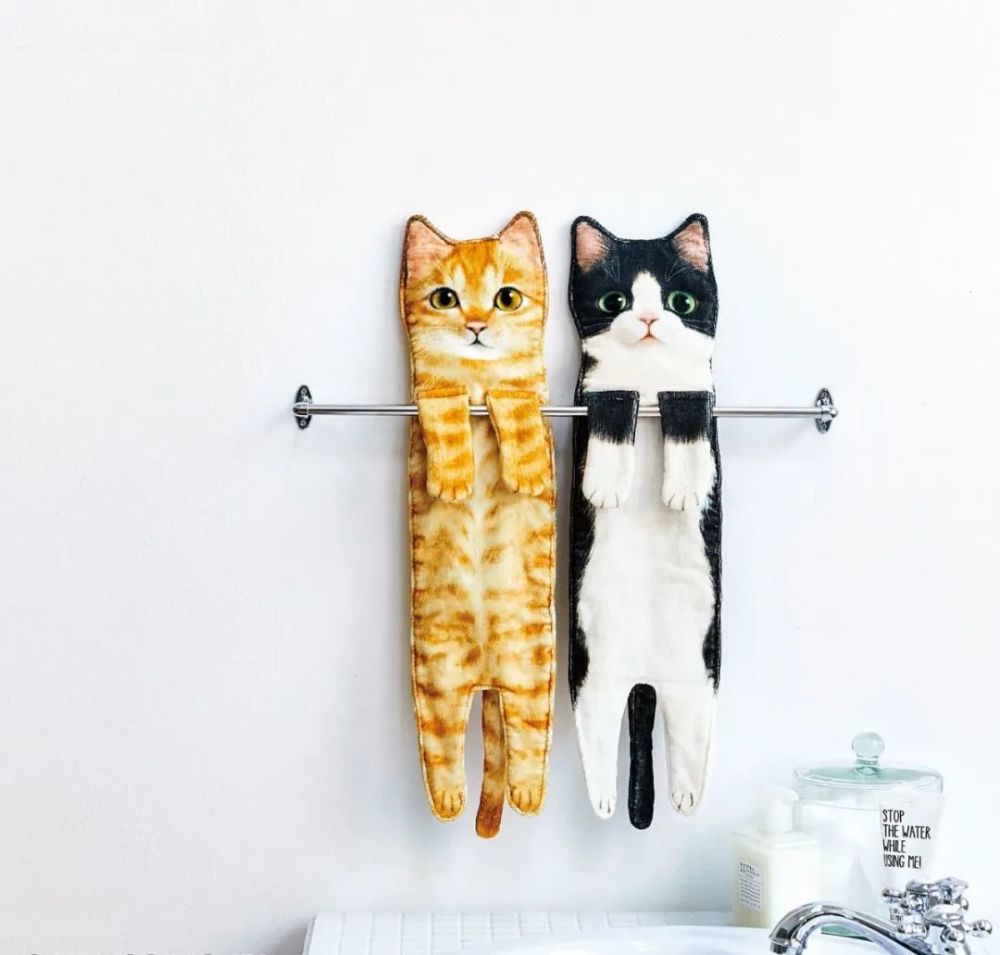 日本人又来骗猫奴钱啦 但我心甘情愿掏啊 腾讯新闻