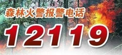 当我们遇到森林火灾的时候,要第一时间拨打森林火警报警电话12119