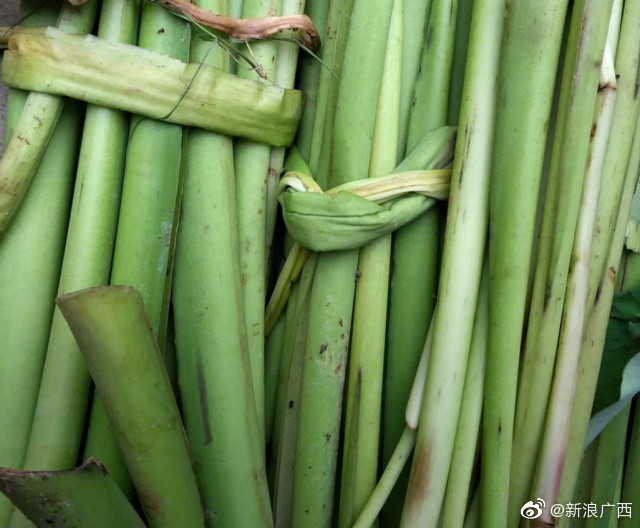 广西人就是会吃酸你吃过这种芋苗吗用你那里的话叫什么