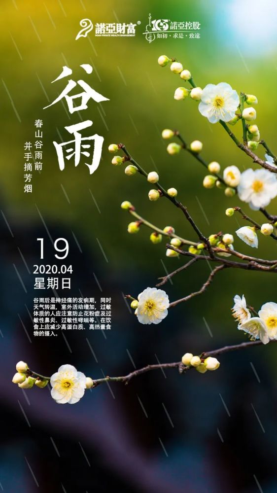 谷雨 春山谷雨前 并手摘芳烟 腾讯新闻