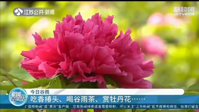 走马谷雨乡谷雨小学_小暑节气的民间风水习俗和养生禁忌_谷雨的民间习俗图片