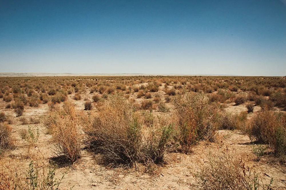 瓜州戈壁上的极致艺术