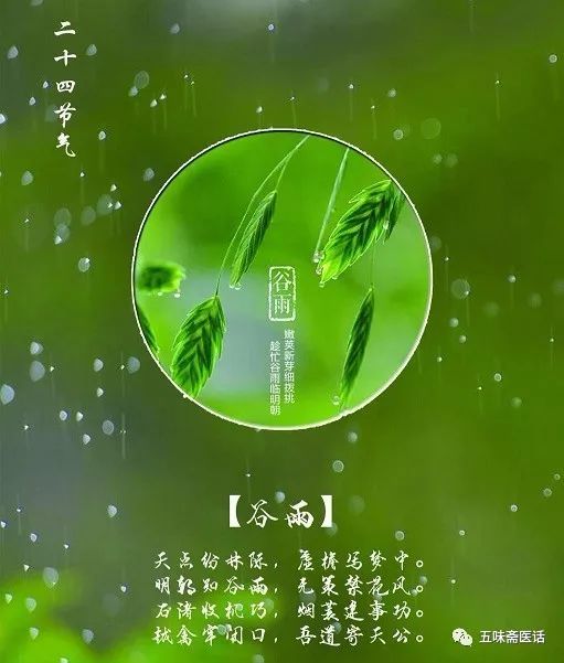 谷雨的养生小知识(谷雨养生小知识简短?)-第2张图片-鲸幼网