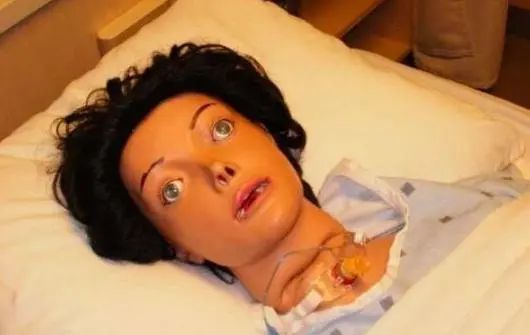 1972年美国面无表情的女人事件到医院大闹血腥案件最后消失