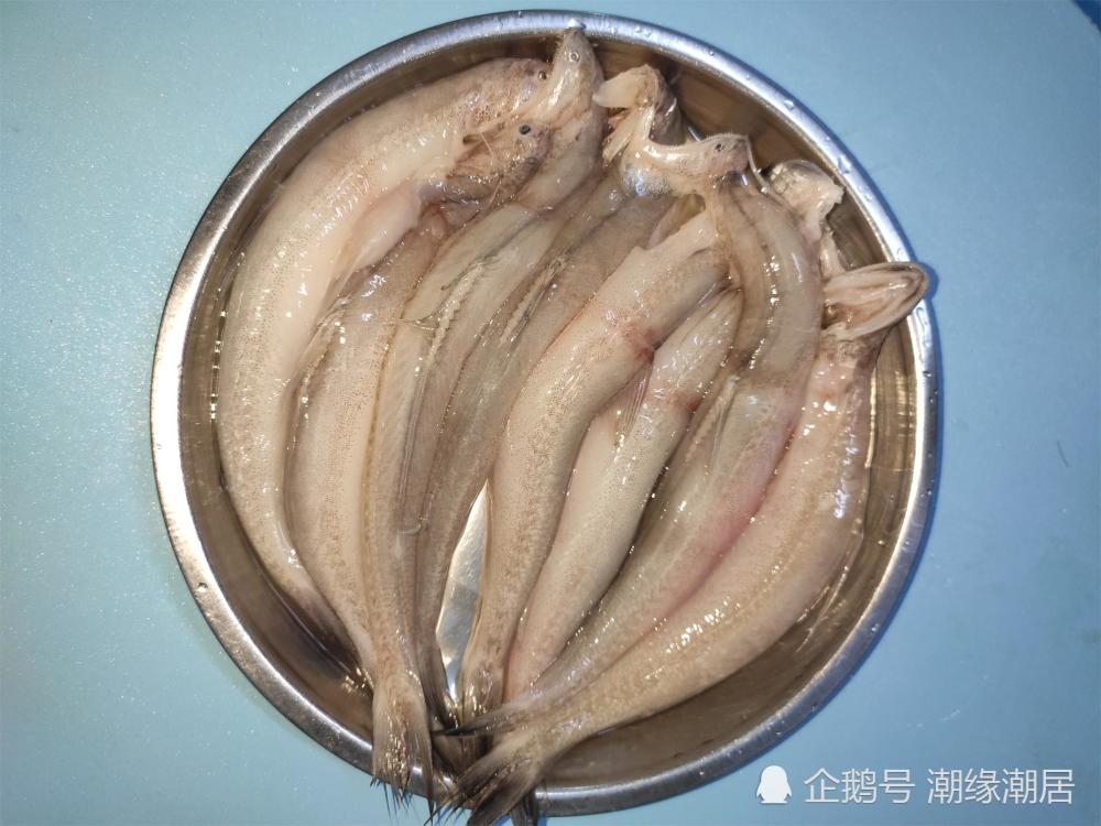 农村这种鱼很便宜味道鲜美吃一次就上瘾吃不厌的美味佃鱼汤