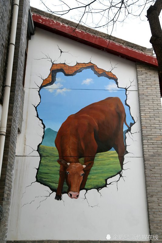 甘肃崆峒古镇打造红牛街墙体3d绘画艺术引关注