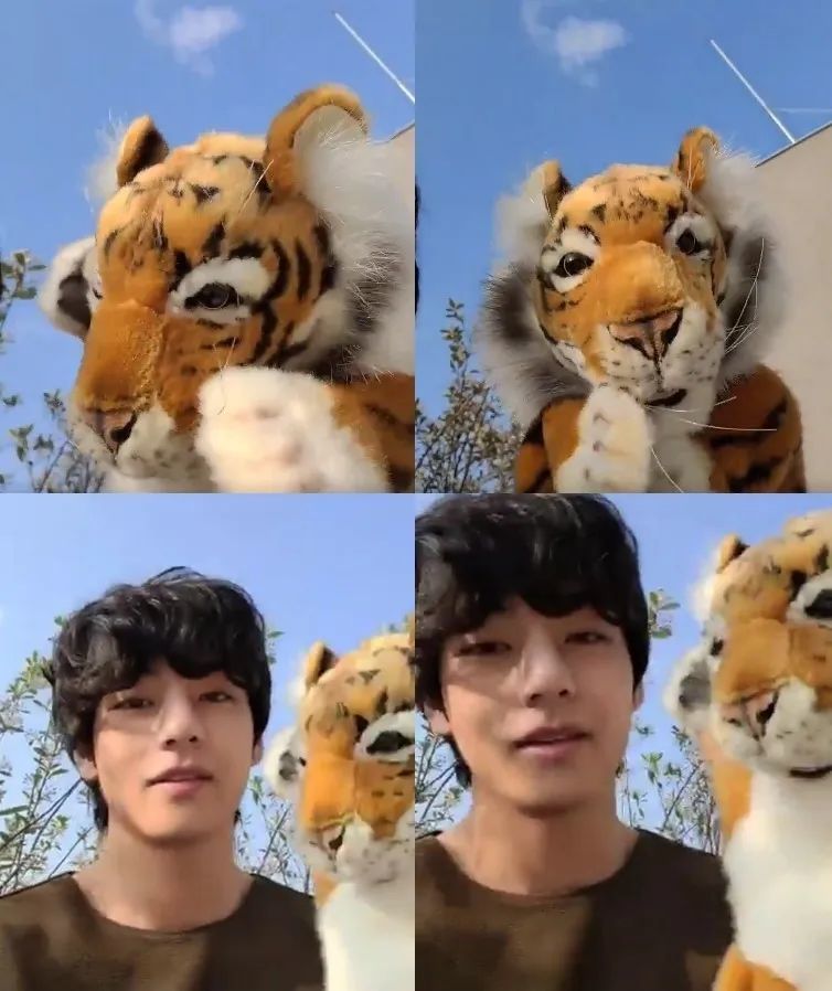 防弹少年团v上传老虎玩偶舞蹈视频……bgm原唱对v表示"感谢"