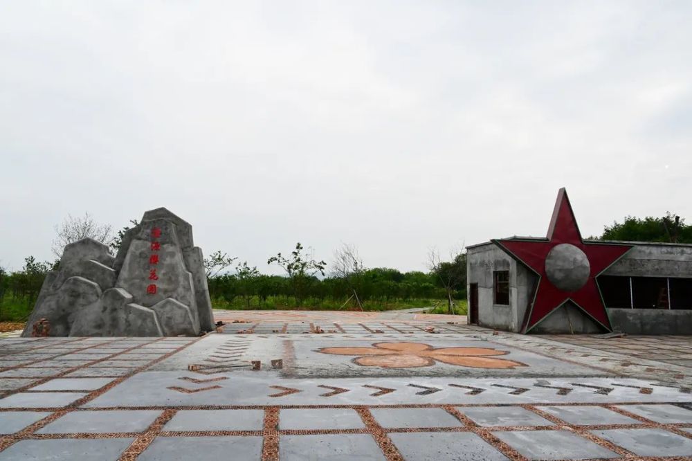 瑞金的樱花园来了,高清美照刷爆朋友圈!