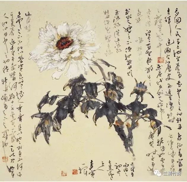 怎样画牡丹 写意牡丹的创作与构图解析 腾讯新闻