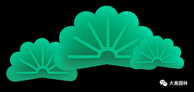 年的 春天里 苗木人究竟该做什么 腾讯新闻