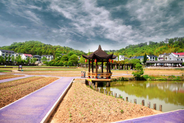 烂柯山脚下荆溪花海掠影