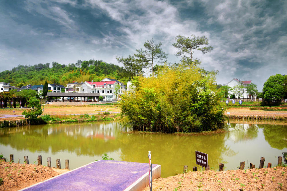 烂柯山脚下荆溪花海掠影