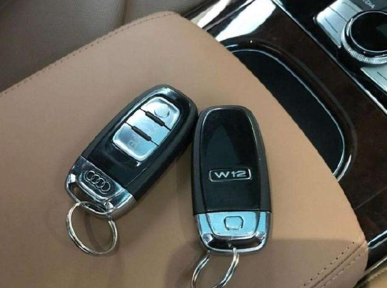 长这么大没见过这么嚣张的!奥迪a8亮出尾标就值1180万,太强悍