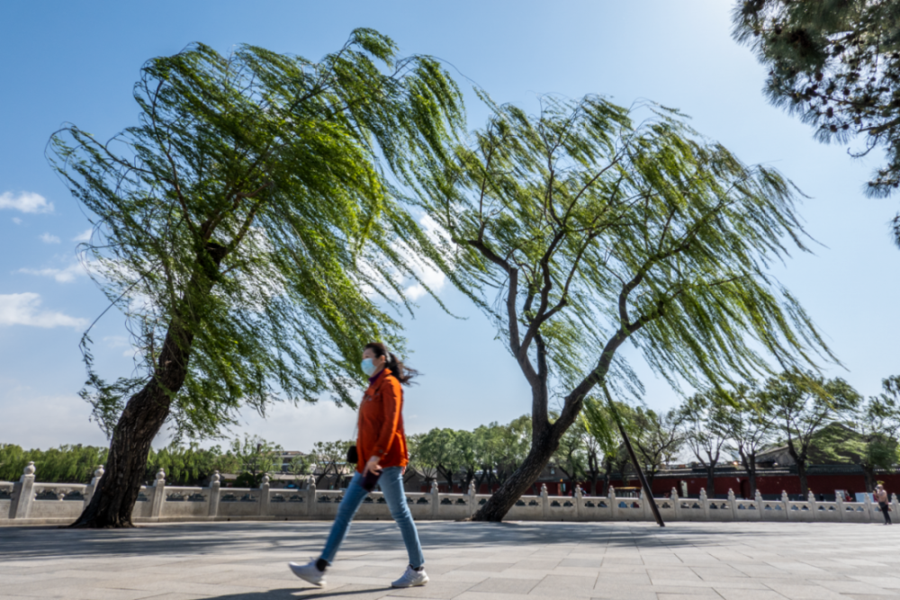 别问我今天风有多大,看图你就知道了!