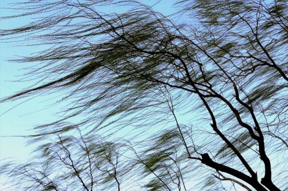 北晚新视觉论坛 老孙爱摄影摄20日09时10分,市气象台升级发布大风黄色