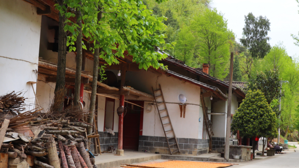 秦岭深山最美小村庄小村到处弥漫着古韵老房子值得留恋