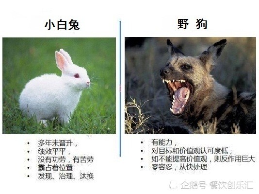 发现公司内有这两类员工,一定要开除,不能手软