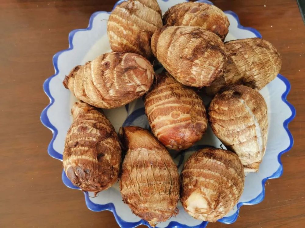 高儿山芋头 2019年3月,莱阳市举办了农村党支部领办合作社发展集体