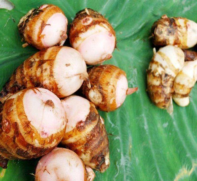 兴化土特产:龙香芋情怀