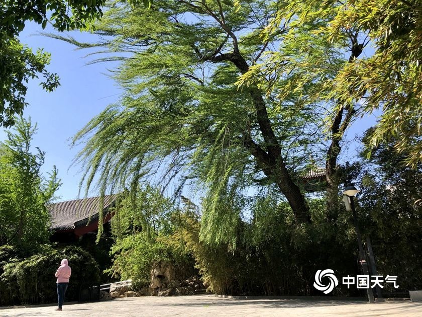 8级大风!北京街头行人风中"凌乱"