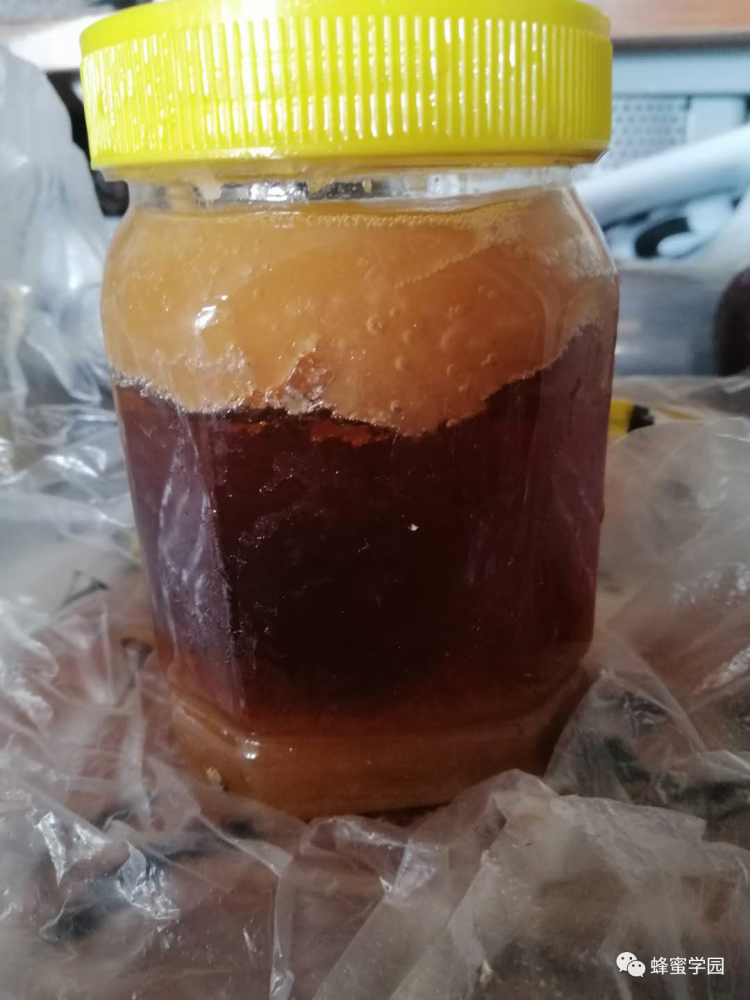 蜂蜜变质以后是啥样的?_腾讯新闻