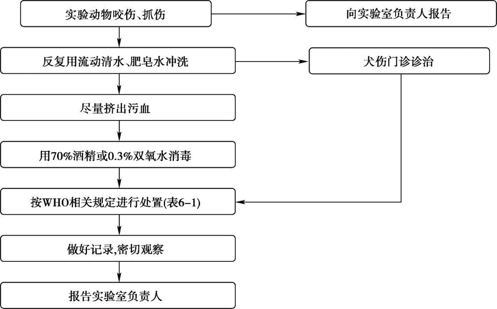 图6-3 被实验动物咬(抓)伤处置流程图