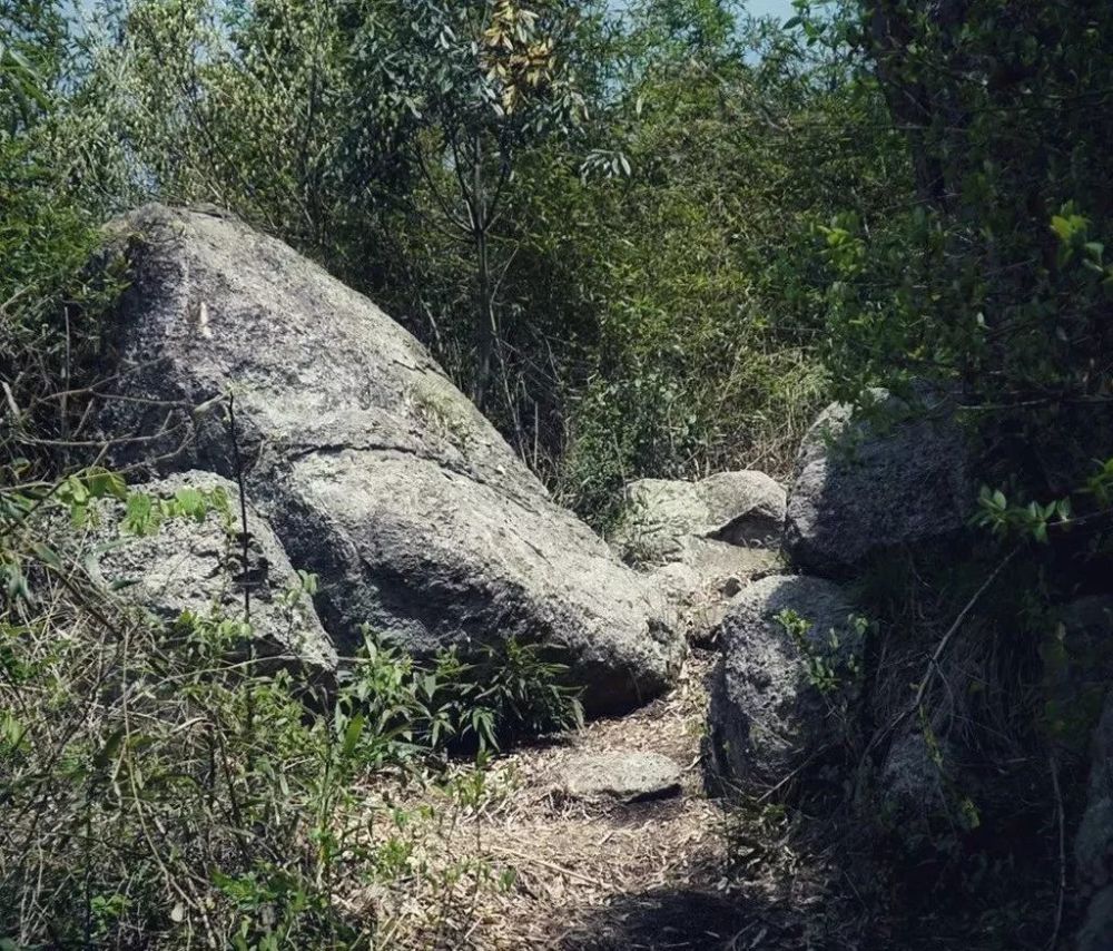 诸暨勾乘山下有个村美成一幅画最近种下240亩果园你去过吗