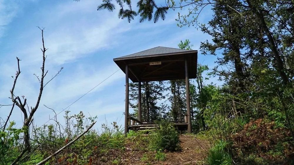 诸暨勾乘山下有个村美成一幅画最近种下240亩果园你去过吗