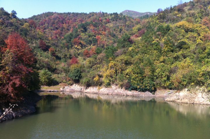 诸暨勾乘山下有个村美成一幅画最近种下240亩果园你去过吗