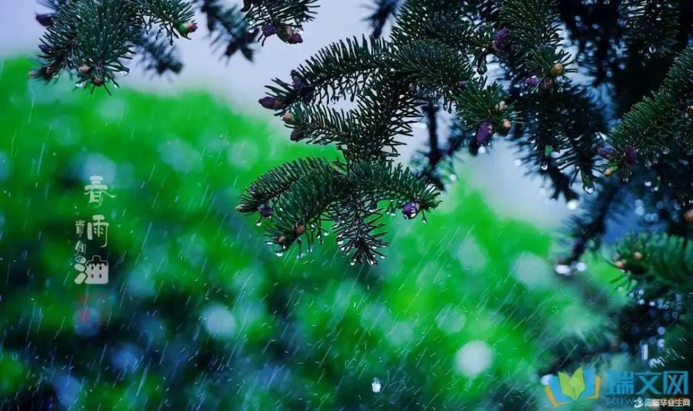 春夜喜雨 唐:杜甫 好雨知時節,當春乃發生. 隨風潛入夜,潤物細無聲.