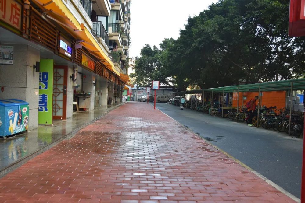 荔湾这三个社区的街坊,你们被人羡慕了!