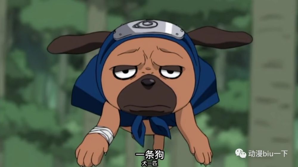 那些昙花一现的通灵兽,你认识多少?