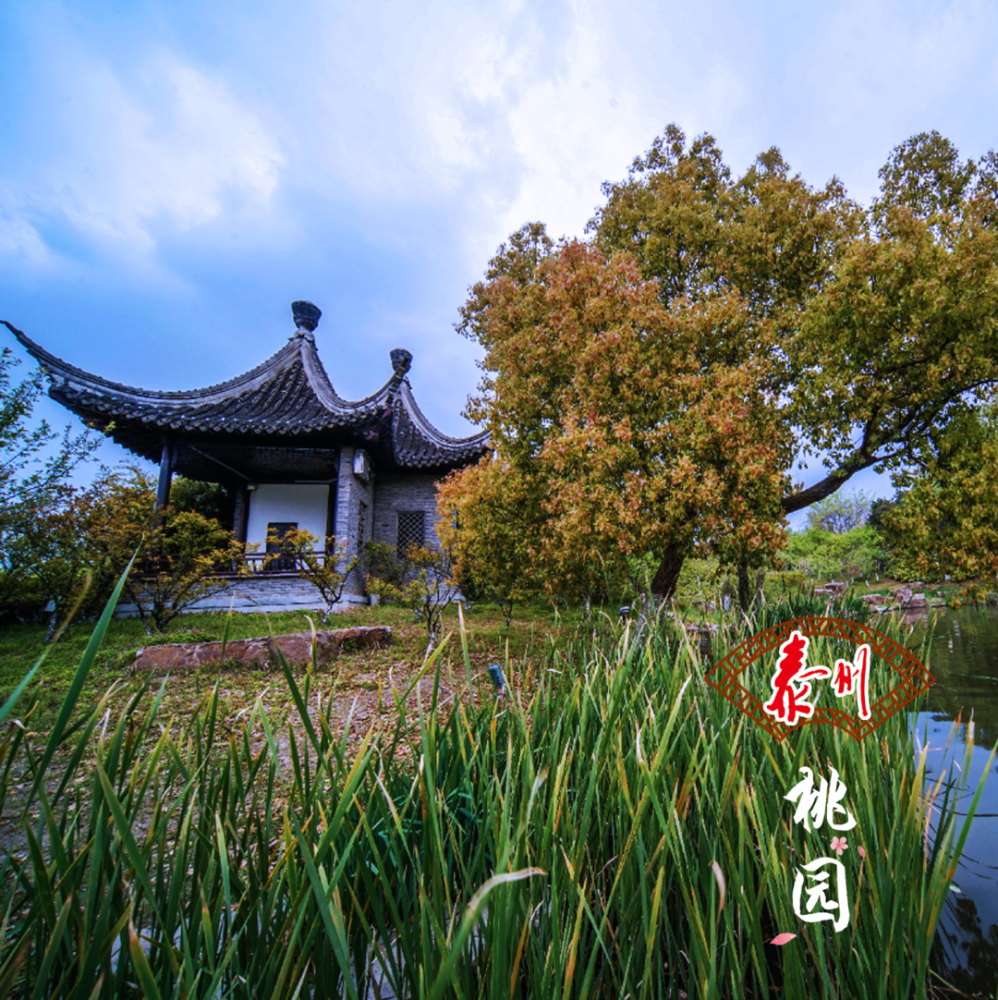 《清平乐》中的古风男神,缘牵泰州千年