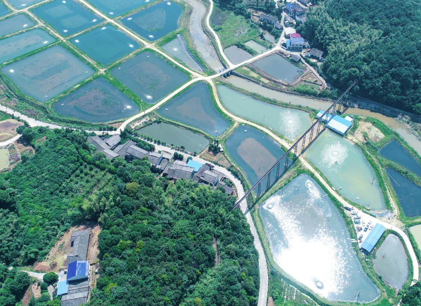 非遗花海清代民居醉美安沙邀你畅享诗意生活