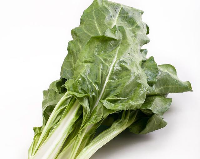 喂鱼喂鸡的牛皮菜原来营养很高简单凉拌一下好吃不发胖