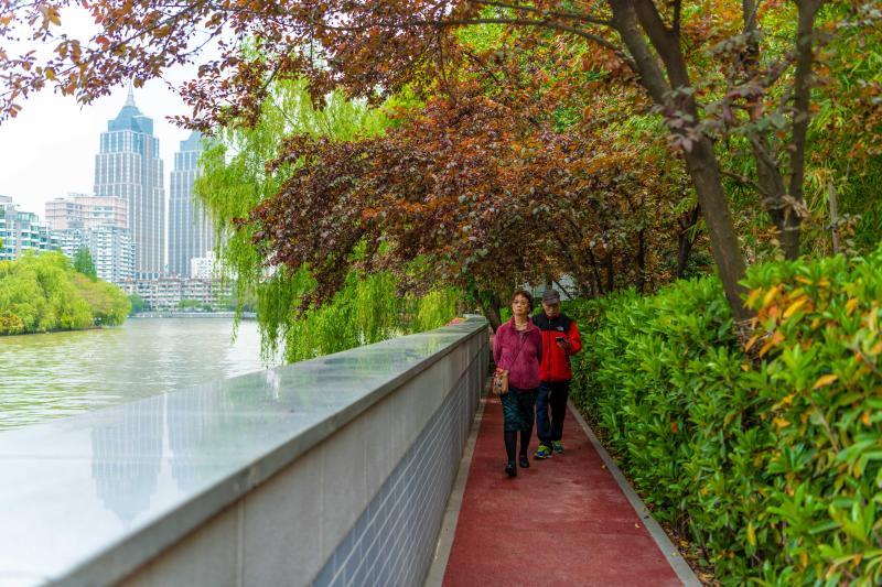 长宁苏州河健身步道华政段恢复开放一步一景美如画