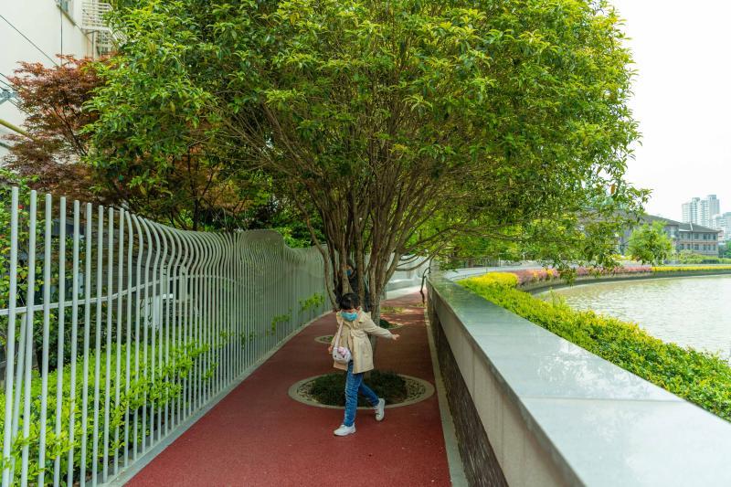 长宁苏州河健身步道华政段恢复开放一步一景美如画