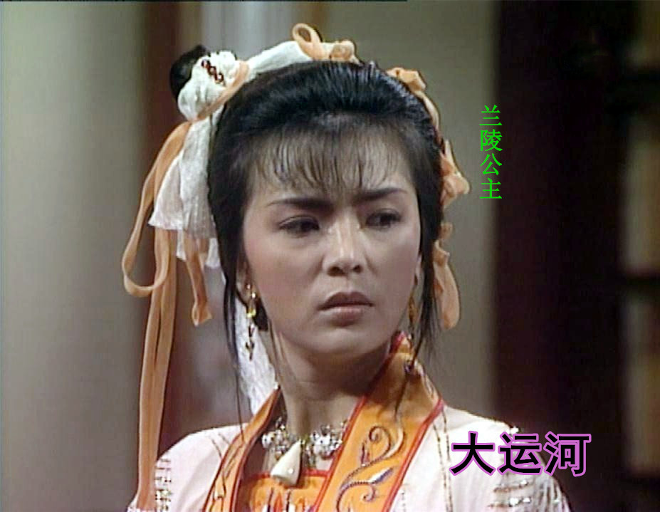tvb1987版大运河群星荟萃数不清的知名艺人参与演出