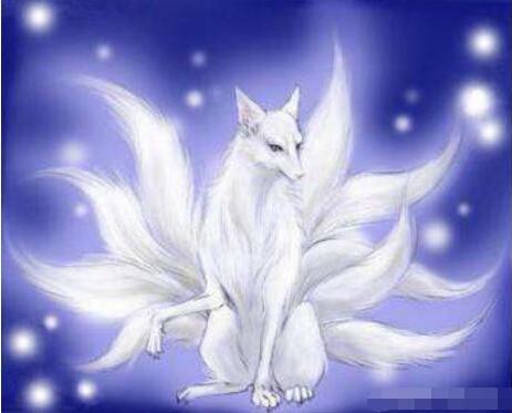 12星座专属守护神兽双鱼座的十分罕见天秤座的太可爱了