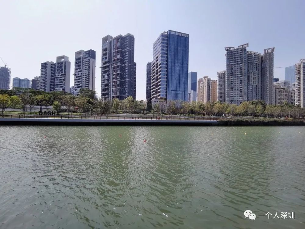 深圳大沙河畔下游段從深南大道至深圳灣入海口有大沖公園,大沙河公園