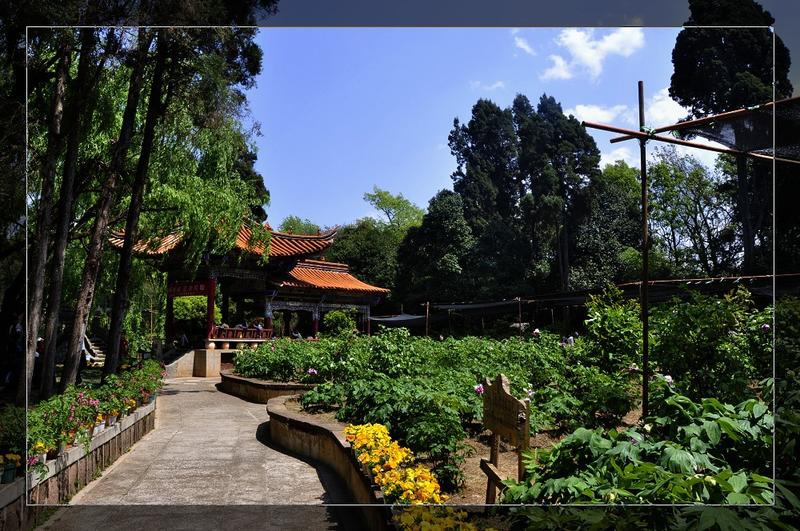 楚雄武定狮子山