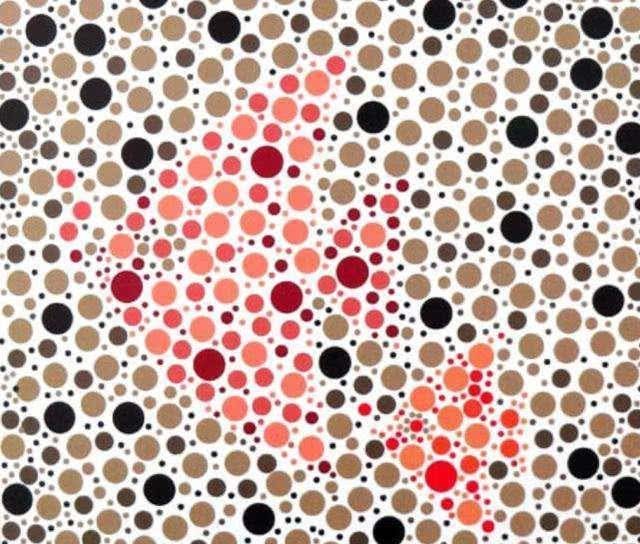 车管所常用的5张色盲图看不到最后一张的乔丹别摸方向盘