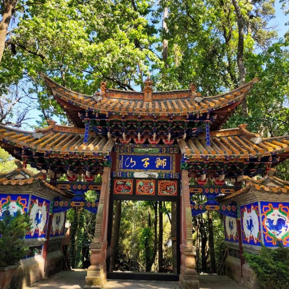 楚雄武定狮子山