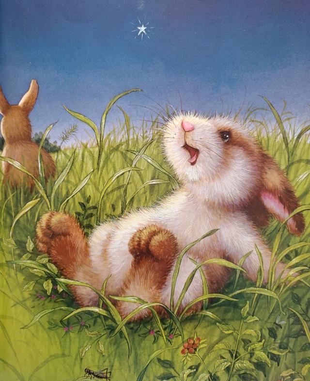 安静的班尼兔和森林音乐会羡慕别人不如创造自我