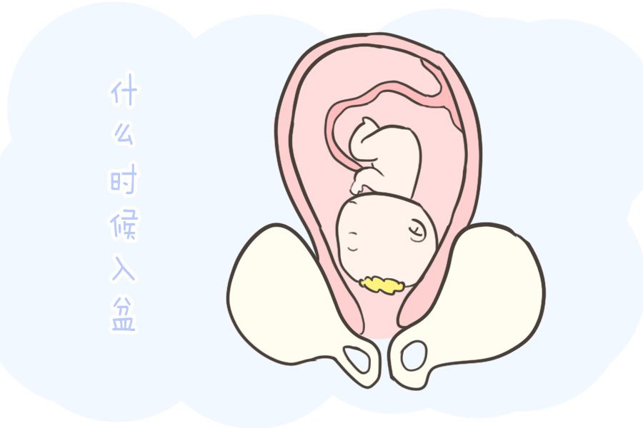 很多孕媽都關心的問題胎頭入盆了沒什麼時候入盆這篇告訴你