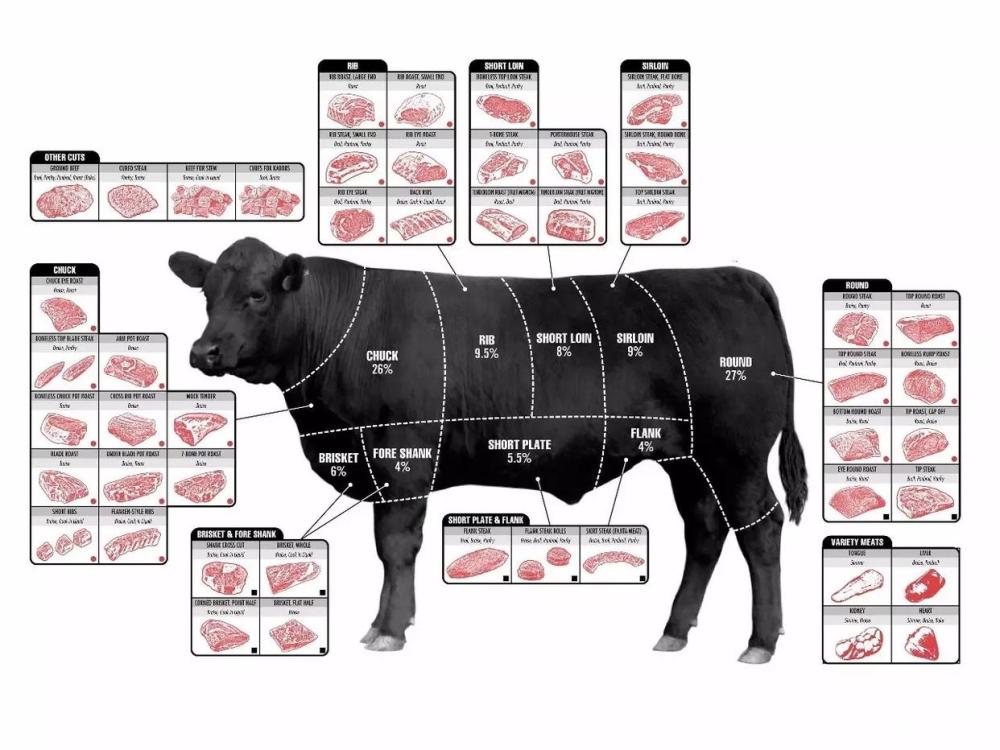澳洲和牛的全身分解图图片