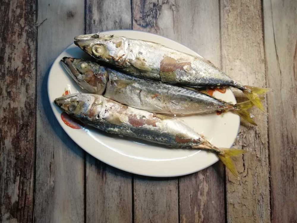 闽南人喜欢炊巴浪鱼,潮汕人称之为巴浪鱼饭,都一样,就是从大海刚捞起