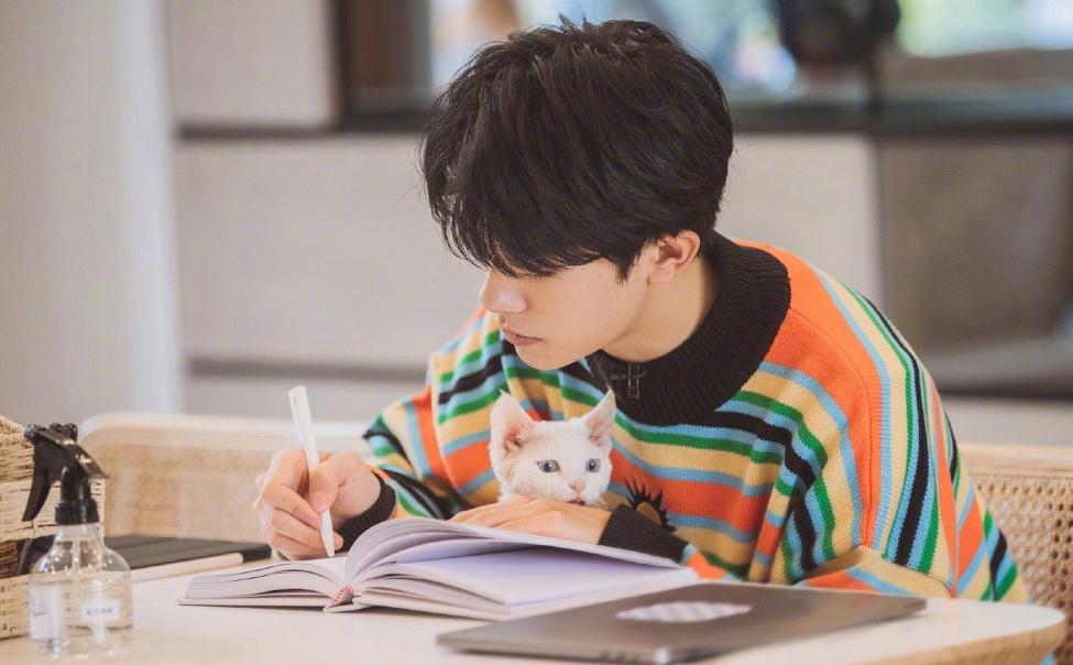易烊千玺做笔记还不忘抱猫咪,看到他的动作,我有些羡慕小猫了