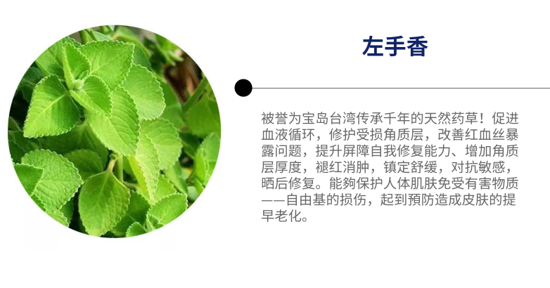 左手香补水修护面膜,你的肌肤小卫士